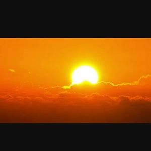 Meet your Posher, Marilee